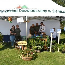 Stoisko Leśnego Zakładu Doświadczalnego w Siemianicach