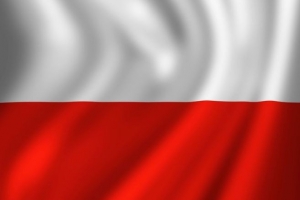 OBCHODY UROCZYSTOŚCI 11 LISTOPADA