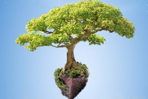 Zbiórka elektroodpadów