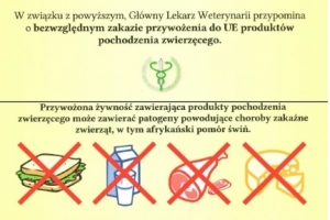 Afrykański pomór świń